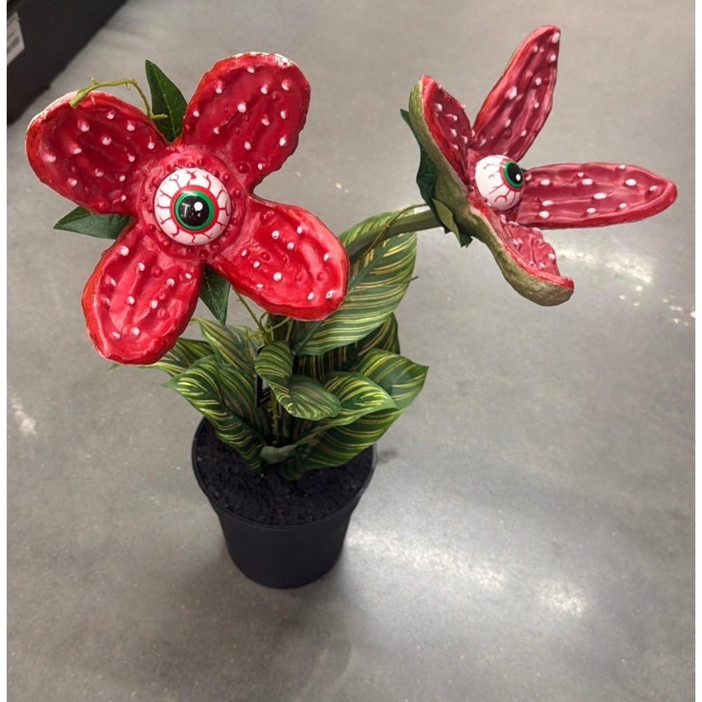 Ashland Potted Rafflesia & Eyeball 28" Red Creepy Monster Plant Halloween Decor
